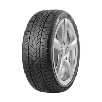 275/50 R20 113H Arivo WINMASTER PROX ARW5