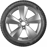 245/60 R18 109T Ikon / Nokian Tyres Character Ice 8 SUV XL