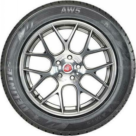 235/55 R17 103V Delinte AW5 - 1